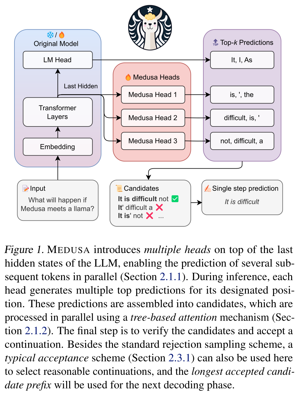speculative_notes_medusa_overview.png